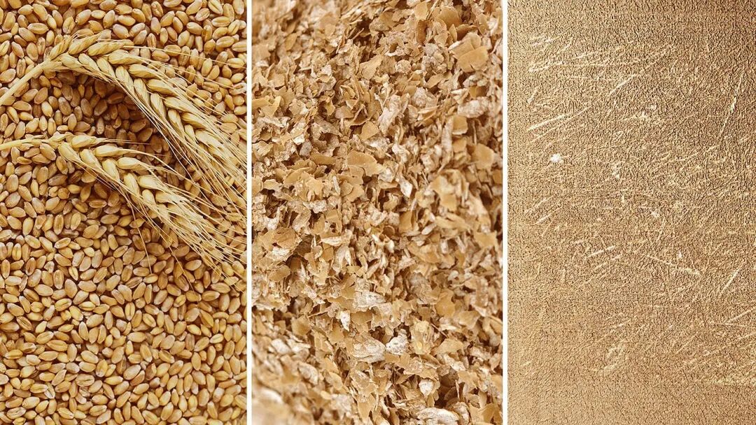 小麦从谷粒到麦麸再到面粉的形态变化