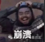 描述崩溃情绪的搞笑表情包