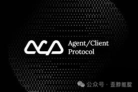 ACP (Agent Client Protocol) 协议标志与说明