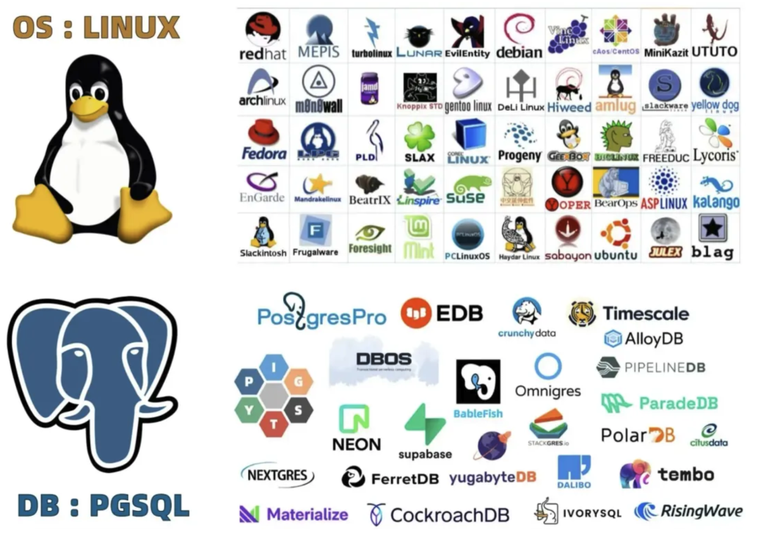 PostgreSQL与Linux发行版技术生态图谱