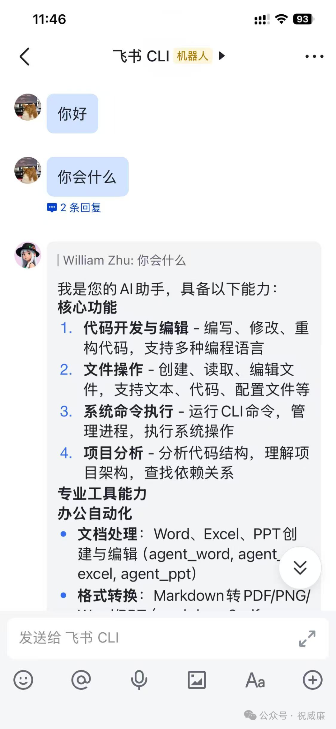 与飞书CLI机器人的对话展示其功能列表