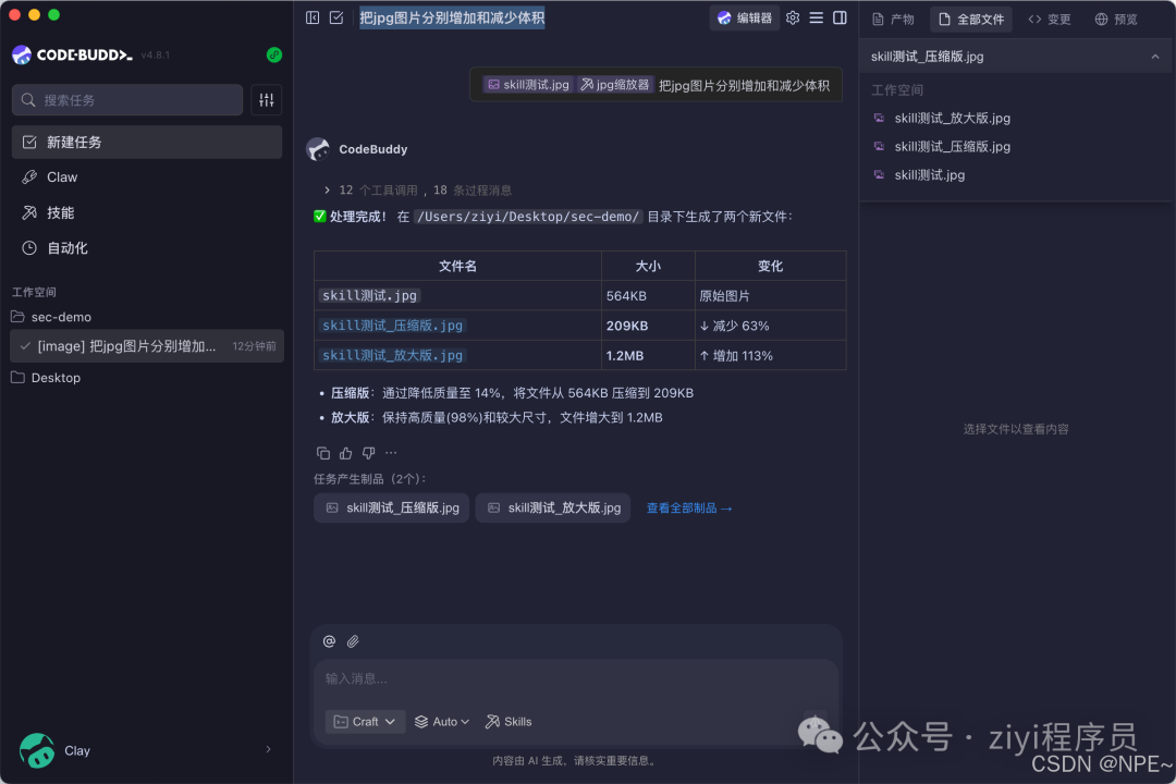 任务执行结果,显示了原始图片、压缩版和放大版的信息