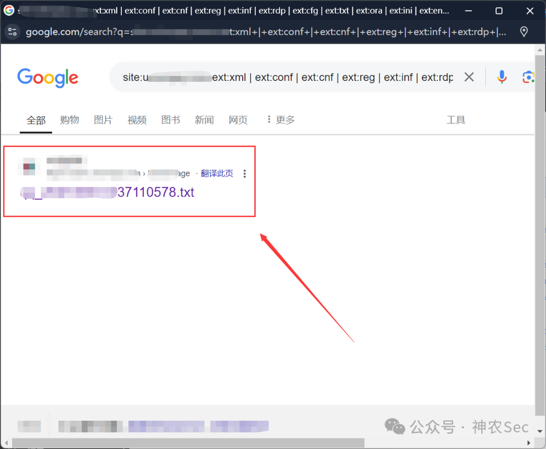 利用Google语法搜索到的配置文件