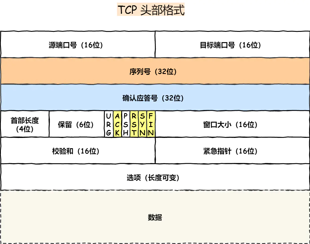 TCP头部格式详解图