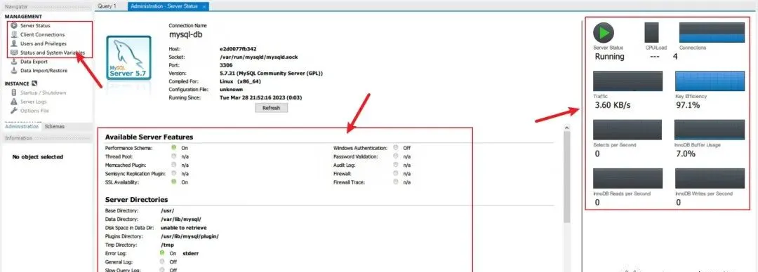 MySQL Workbench服务器状态与性能监控面板