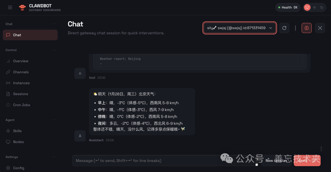 Clawd聊天界面执行天气查询