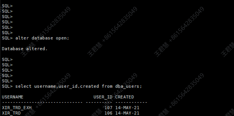 数据库成功启动并打开