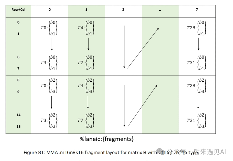 MMA m16n8k16 指令下矩阵B的f16/bf16数据类型片段布局示意图