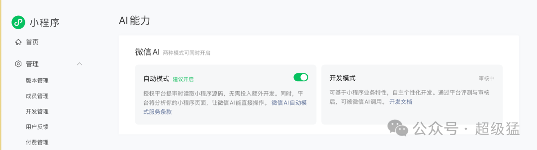 微信小程序管理后台的AI能力设置页面,展示了自动模式和开发模式两种接入方式
