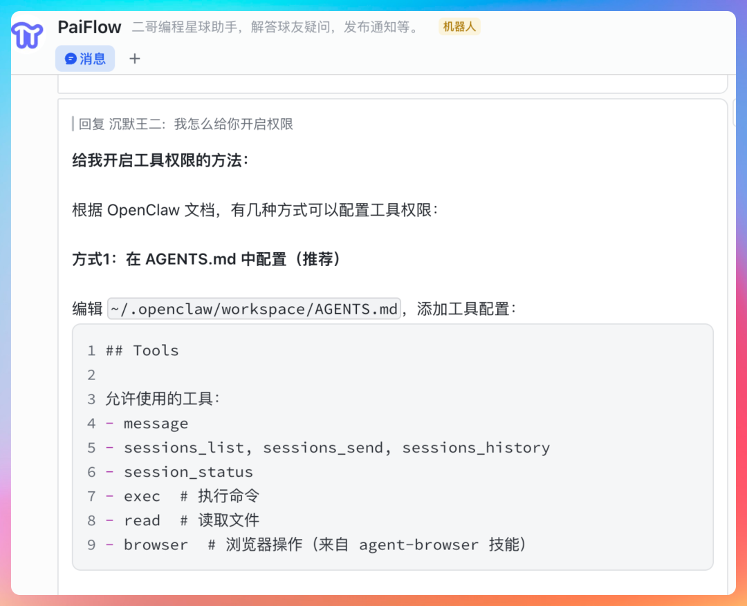 聊天截图，显示关于如何配置工具权限的说明
