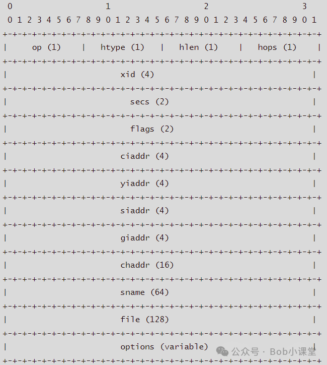 DHCP报文ASCII结构图：含op、htype、hlen、xid、secs、flags、ciaddr、yiaddr、siaddr、giaddr、chaddr、sname、file、options等字段及长度标注
