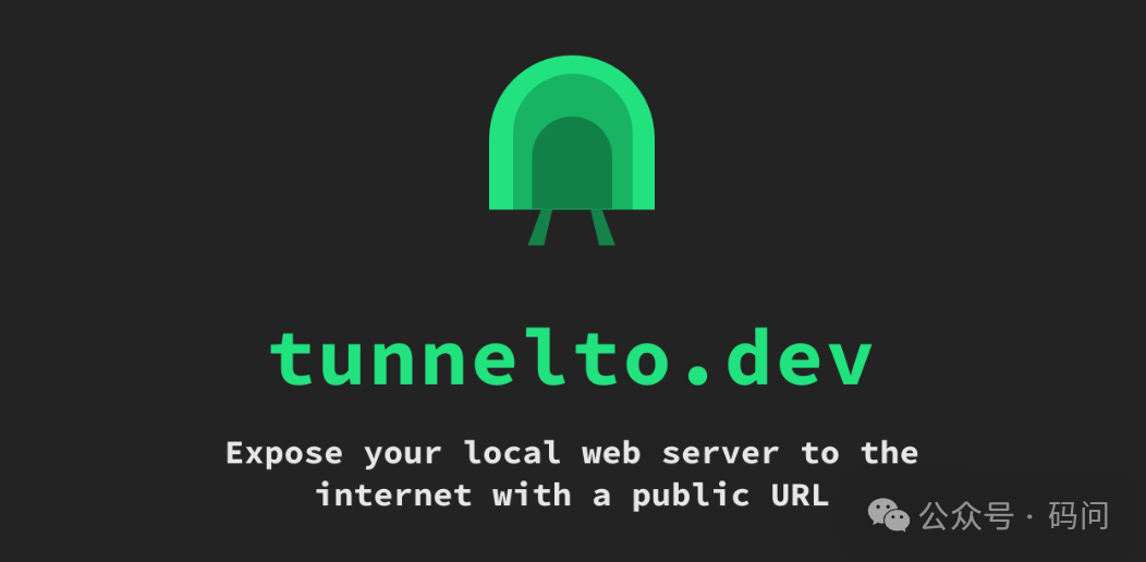 隧道图标与工具标语“tunnelto.dev - Expose your local web server to the internet with a public URL”
