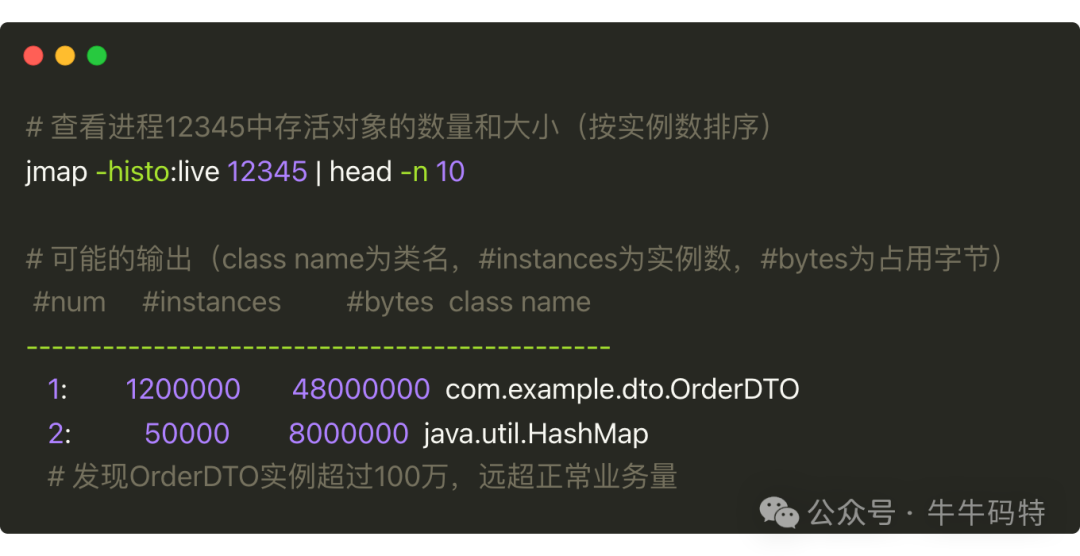 jmap查看对象分布示例