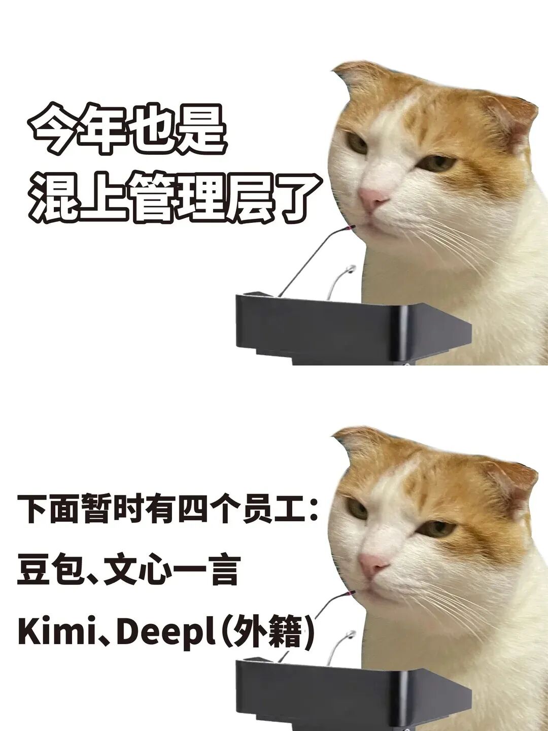 梗图：今年也是混上管理层了