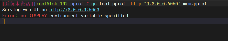 通过Web界面命令启动内存分析时提示DISPLAY错误