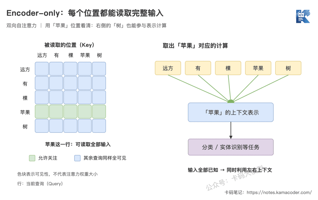 Encoder-only 双向自注意力:苹果位置可见完整输入