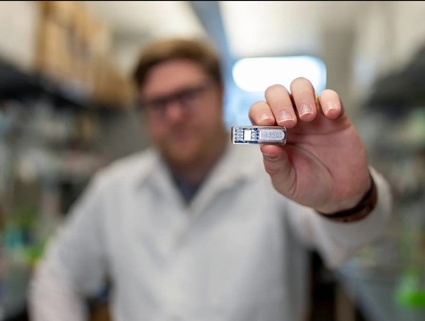 科研人员手持HOBIT生物电子植入体原型