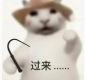 猫招手表情包