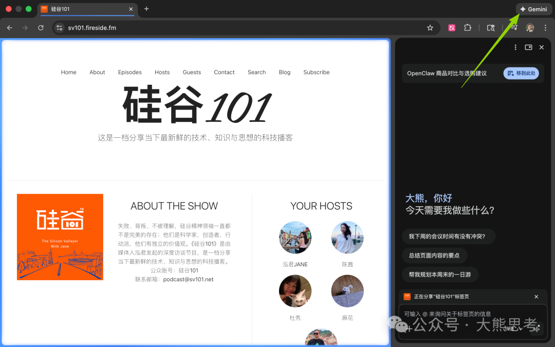 成功启用 Gemini 侧边栏的浏览器界面