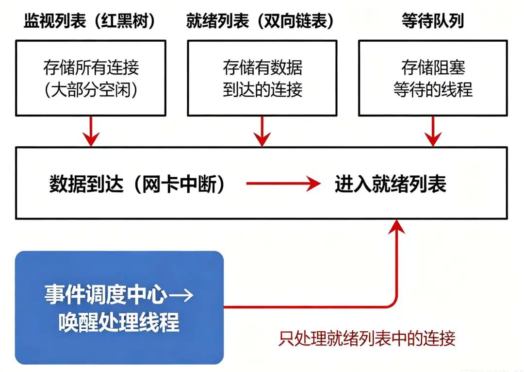 epoll 事件调度模型示意图:监视列表(红黑树)、就绪列表(双向链表)、等待队列