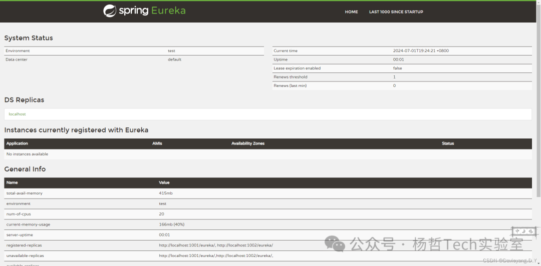 初始状态下空的Eureka服务治理中心页面
