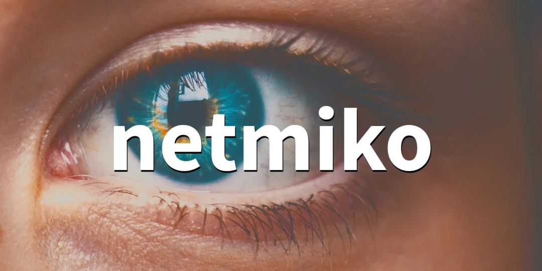 Netmiko工具logo