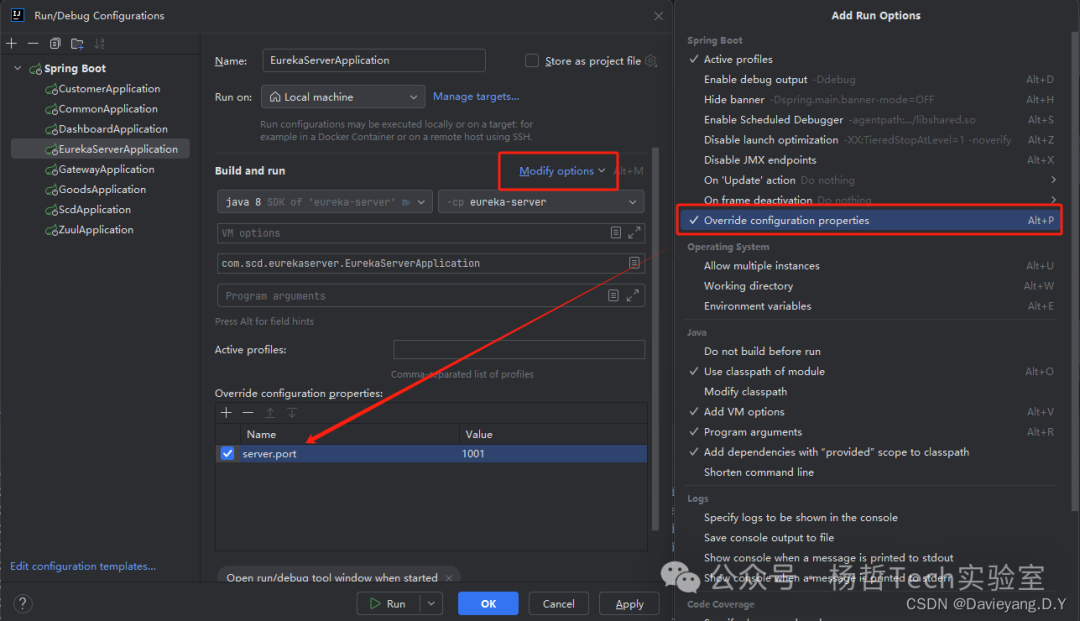 在IDEA运行配置中覆盖Eureka Server端口为1001