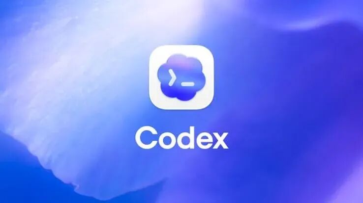 Codex 标志