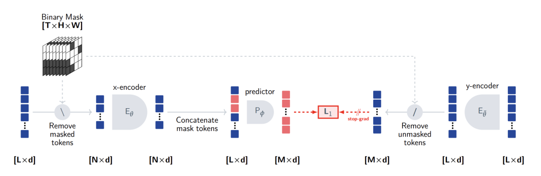 V-JEPA架构流程图