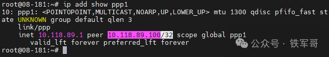 Linux系统中使用ip命令查看ppp1接口的配置信息