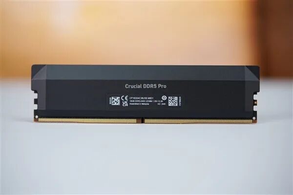 Crucial DDR5 Pro内存条特写，黑色散热片，标签包含16GB 3200MHz规格