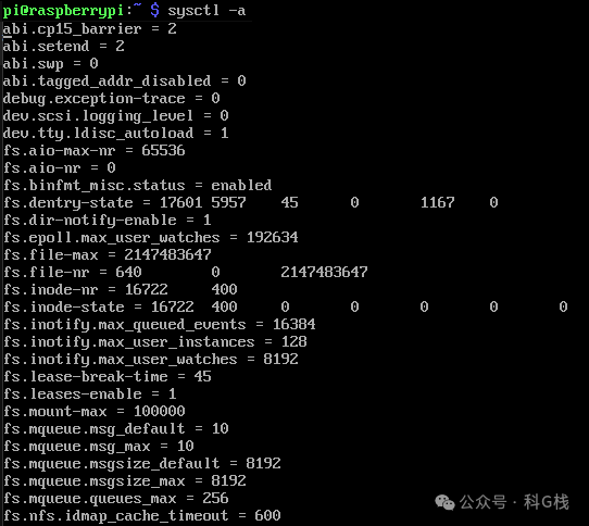 终端中sysctl -a命令的输出，列出所有内核运行时参数