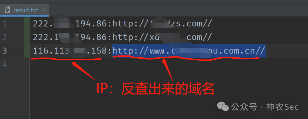 result.txt中IP反查出的域名结果展示