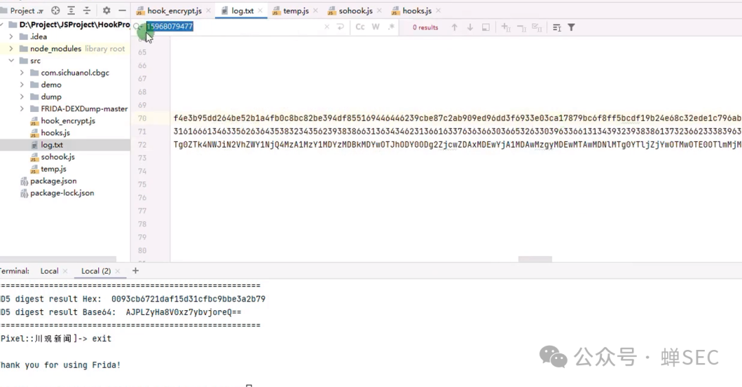 在项目文件及终端中搜索加密信息