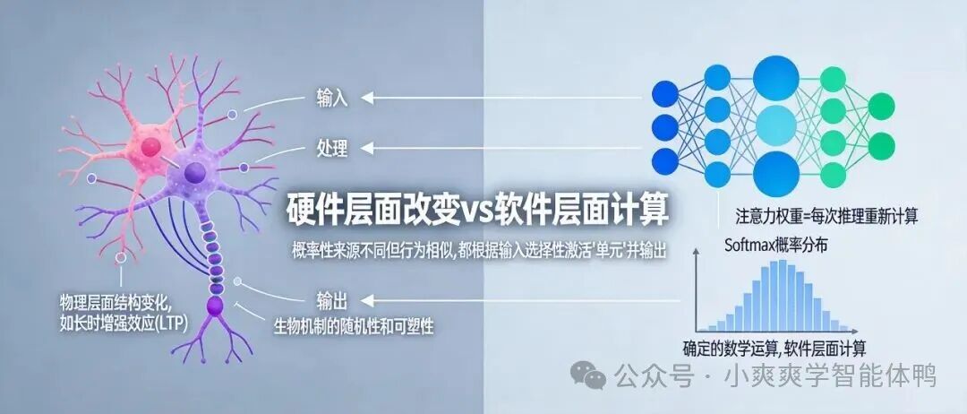 生物神经元与人工神经网络工作机制对比图