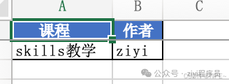 Excel 表格内容截图，显示课程和作者列