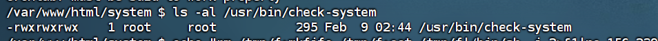ls -al 输出：/usr/bin/check-system 属于 root，权限 777