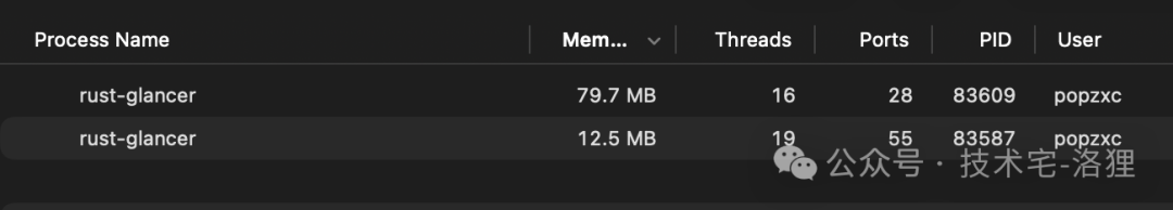 Rust Glancer 进程列表显示内存占用 79.7MB 与 12.5MB