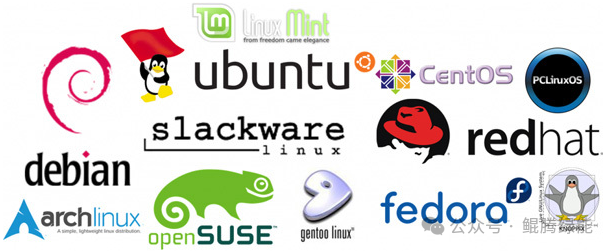 多个主流Linux发行版的官方Logo集合