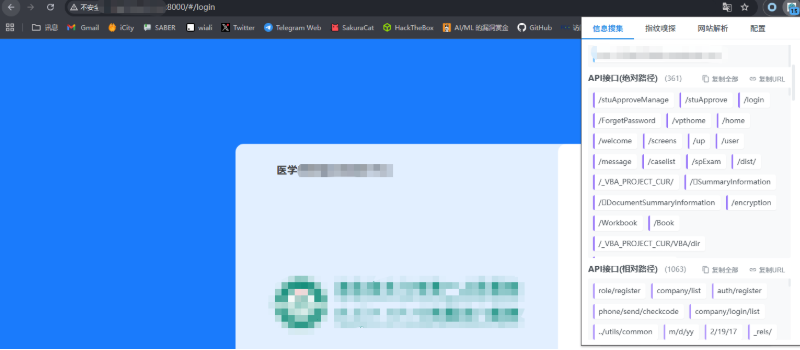捕获到的API绝对路径接口列表