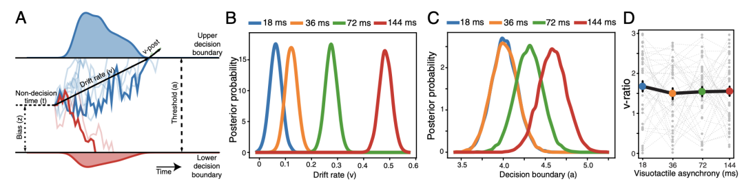 漂移扩散模型分析结果图