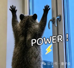 POWER浣熊表情包