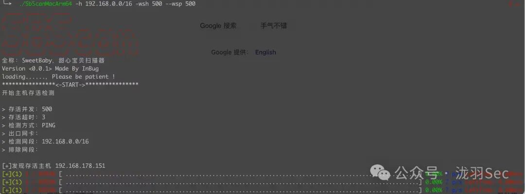 调高并发参数后的扫描启动界面