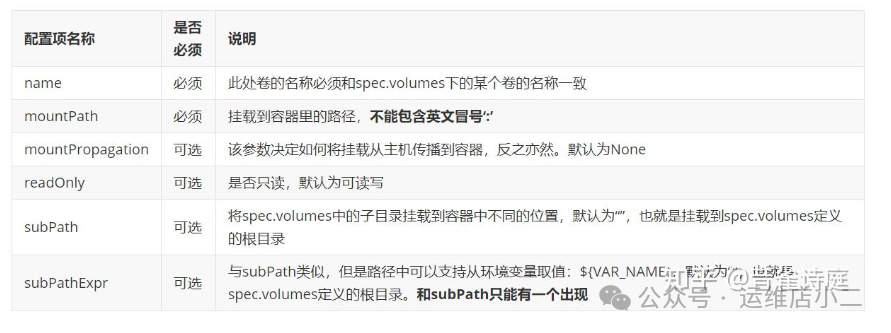 volumeMounts配置