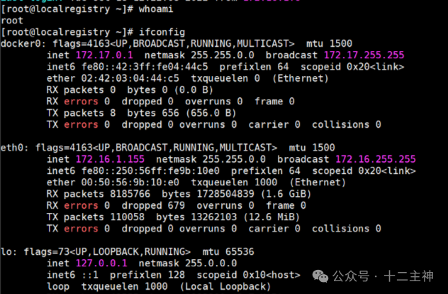Linux服务器网络接口信息