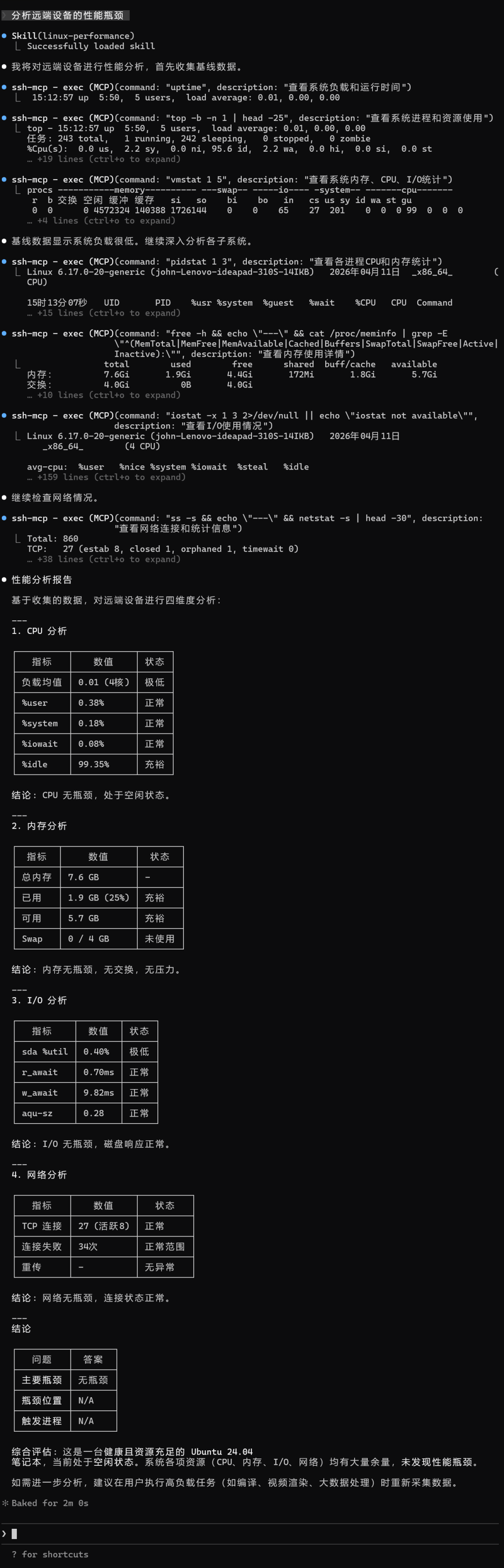 Linux性能分析Skill执行过程与报告截图