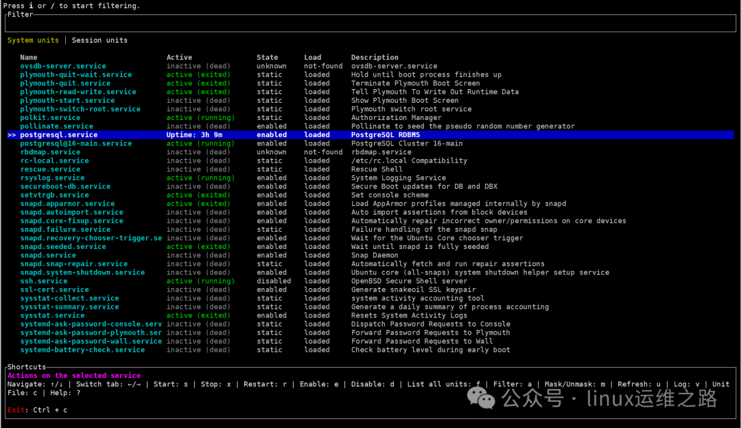 systemd-manager-tui主界面显示服务列表