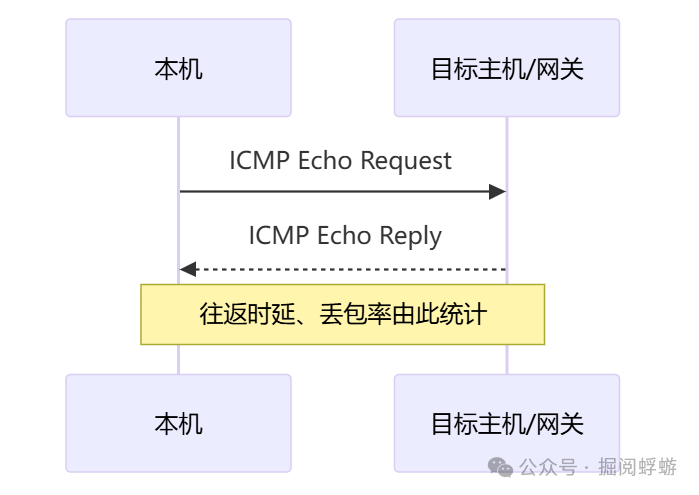 ICMP Echo 请求与回复过程示意图
