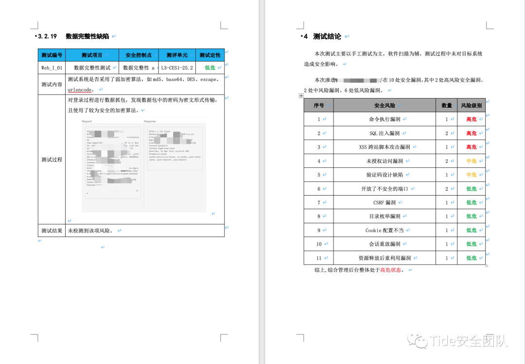 数据完整性测试与详细结论页