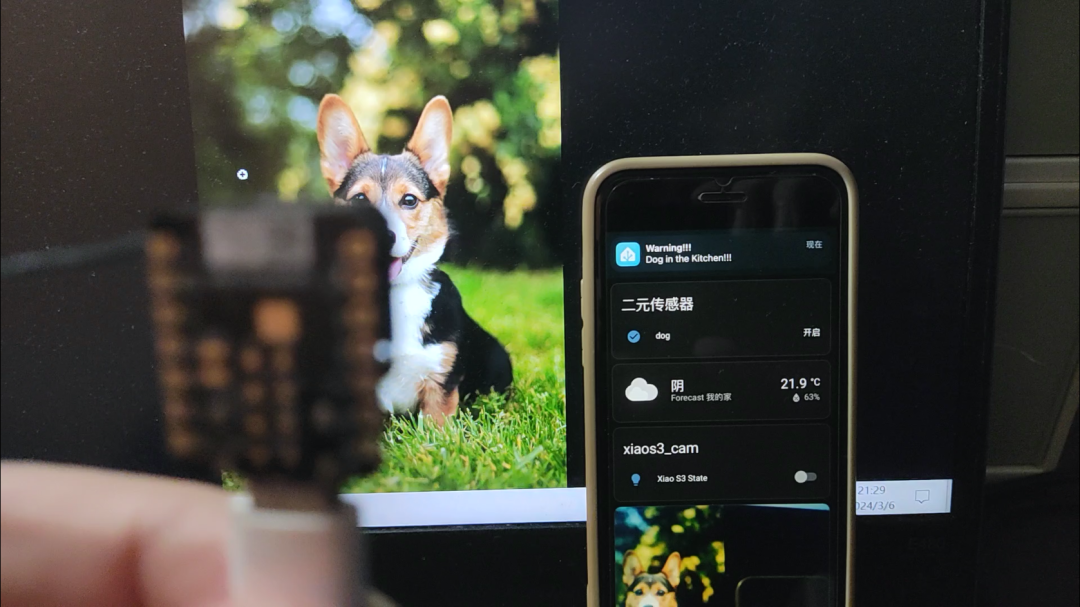 系统整体运行场景展示图